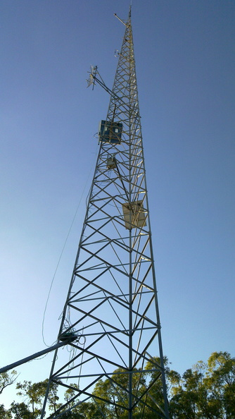 20100608_008.jpg