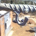 20110909_007.jpg