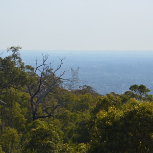 DSC 4874